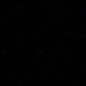 Meet your Posher, Brooklyn